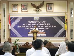 Pemerintah Provinsi Lampung Berkomitmen Mendukung Penguatan Perlindungan Hak Asasi Manusia Dalam Bisnis