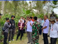Jelang Kunjungan Presiden RI ,Pj Bupati Lambar Tinjau Lokasi Kebun Kopi Milik Saparudin
