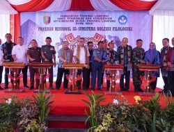 Pameran Regional Koleksi Filologika di Lampung, Menghidupkan Kembali Warisan Aksara Sumatera