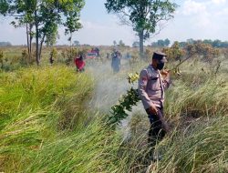 Gabungan TNI-POLRI dan Balai Besar TNWK Atasi Karhutla