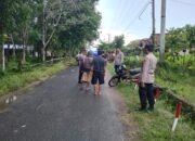 Polisi Datangi TKP Seorang Warga Meninggal Dunia Akibat Tertimpa Pohon Tumbang di Way Tuba Asri