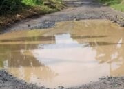 Warga Harap Dinas Terkait Segera Turun Tangan Memperbaiki Jalan Pekon Way Petai Yang Terabaikan