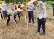 Penanaman Jagung Serentak 1 juta HA, Polres Way Kanan Manfaatkan Lahan Perkebunan di Blambangan Umpu