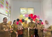 Wakil Bupati Ali Rahman Hadiri Kegiatan PGK Dinkes Way Kanan