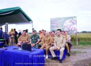 Panen Raya Serentak,Plt Bupati Way Kanan Hadiri Kegiatan Bersama Secara Virtual 
