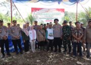 Dukung Ketahanan Pangan, Kapolres dan Polsek Jajaran Panen Jagung Serentak Kuartal 2 di Way Kanan
