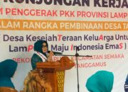 Ketua TP PKK Provinsi Lampung Kunjungi Pekon Kacapura, Serahkan Bantuan untuk Warga