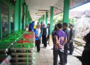 Bupati Way Kanan Tinjau Dapur Program Makan Bergizi Gratis di Kecamatan Umpu Semenguk