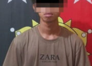 Diduga Cabuli Anak di Bawah Umur, Seorang Pria Asal Sumsel Diringkus Polisi