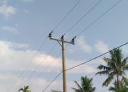 Listrik Tak Stabil, Warga Tiga Kampung di Banjit Geram: PLN Dinilai Lamban dan Abaikan Keluhan